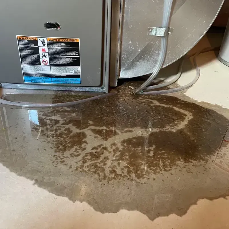 Appliance Leak Cleanup in Lonoke County, AR